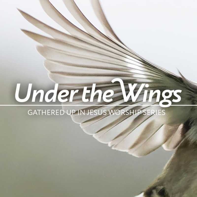 Under the Wings